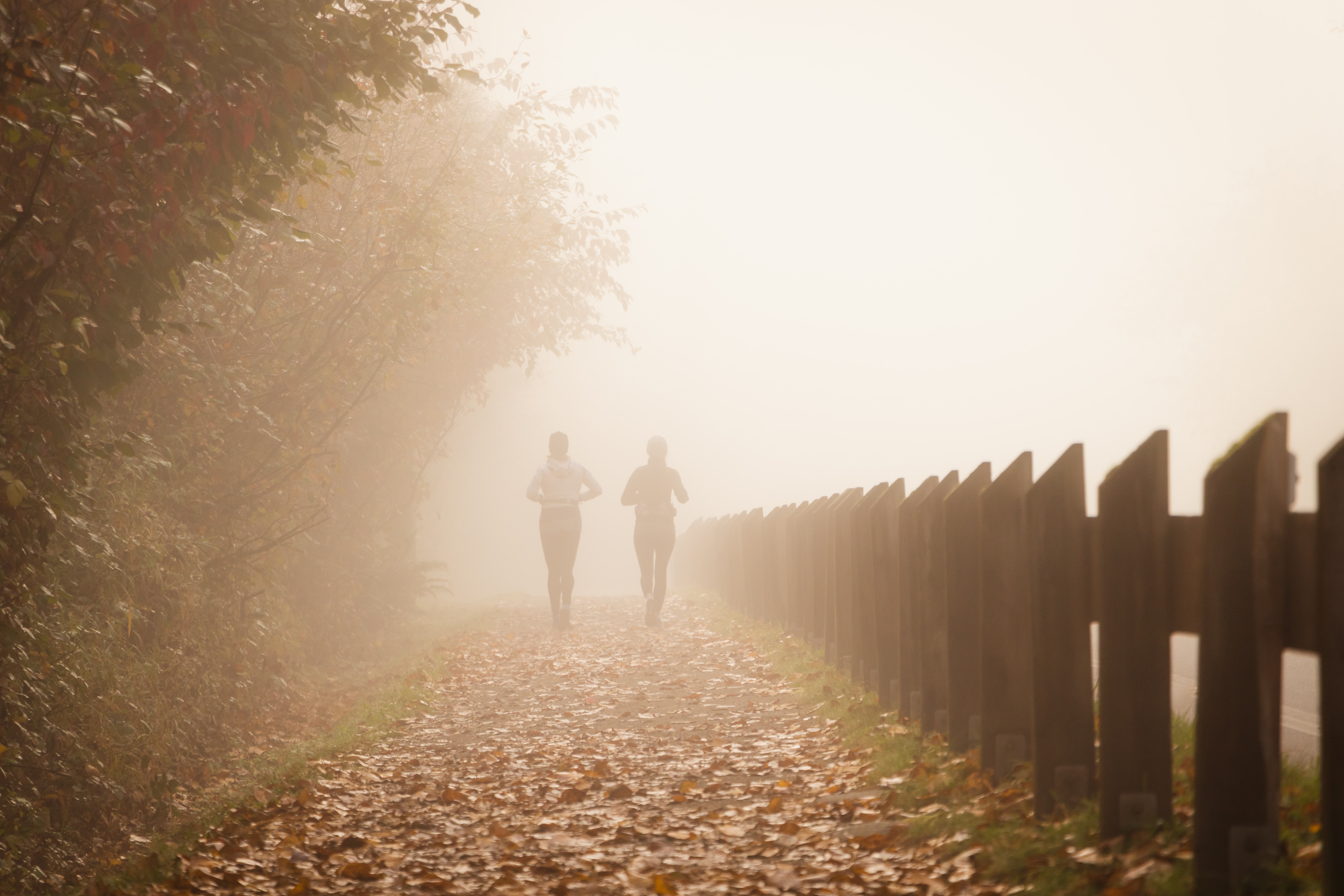 walk-and-talk-trail-walking – Root to Rise Counseling and Wellness, PLLC